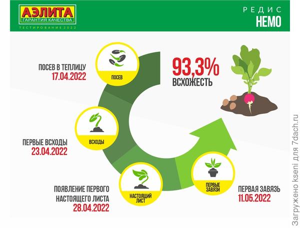 Результаты первого этапа тестирования редиса "Немо" от "Аэлиты"