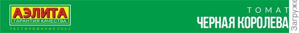 томат черная королева