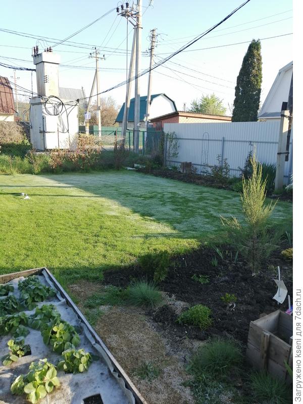 Весеннее утро в саду