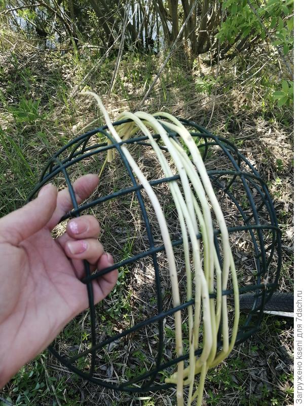 Плетение кашпо