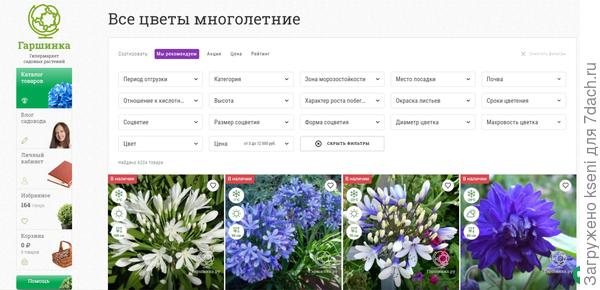 https://www.garshinka.ru/