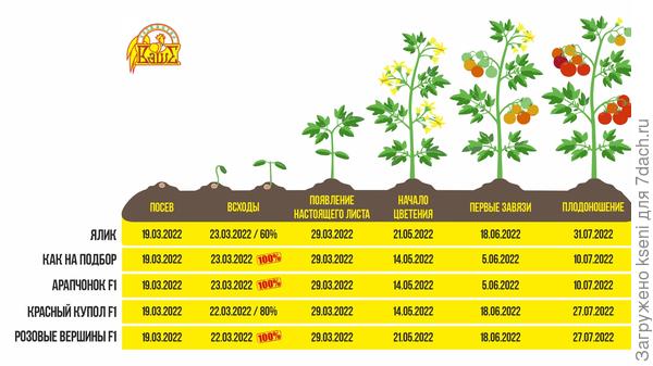 Итоги третьего этапа.
Ялик, Как на подбор, Арапчонок F1, Красный купол F1, Розовые вершины F1.