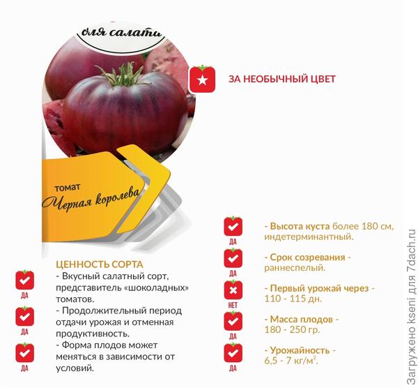 сравнение характеристик томата Черная Королева
