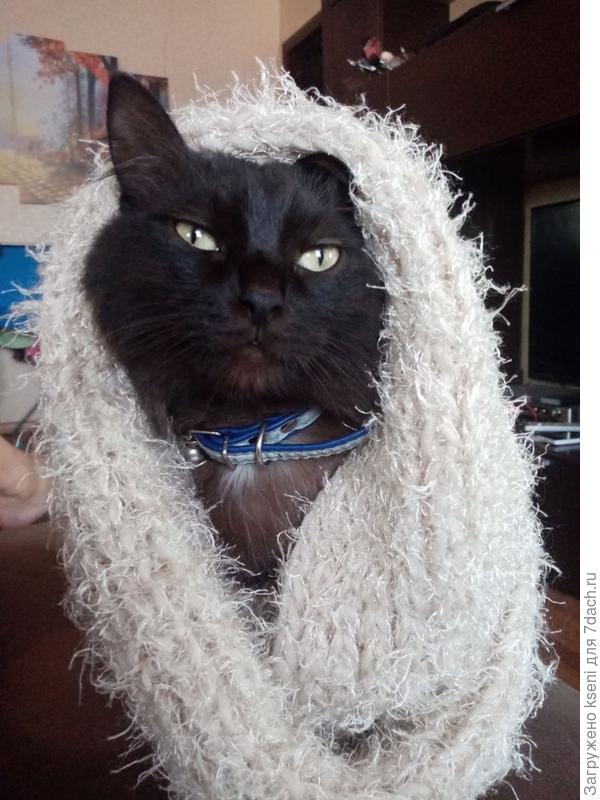 Зима близко!