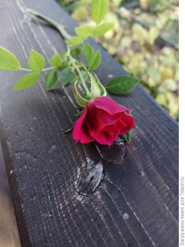 Вот и лето прошло.