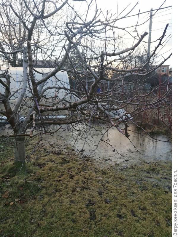 Газон в воде