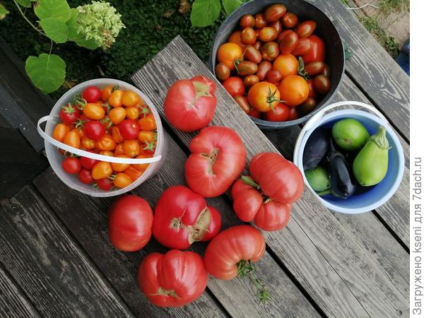 Часть урожая.