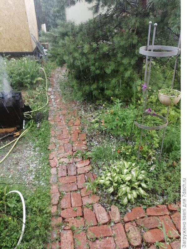 нашла вот фоточку