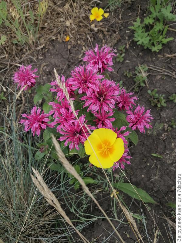 Вот она моя малышка