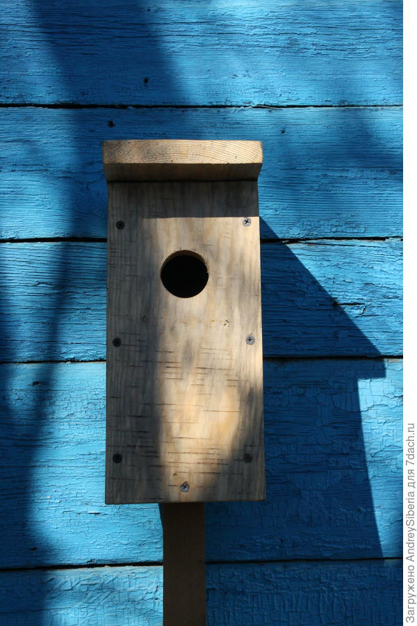 Скворечник, сделанный своими руками. Для скворцов, конечно, но если поселятся воробьи или мухоловки - тоже хорошо