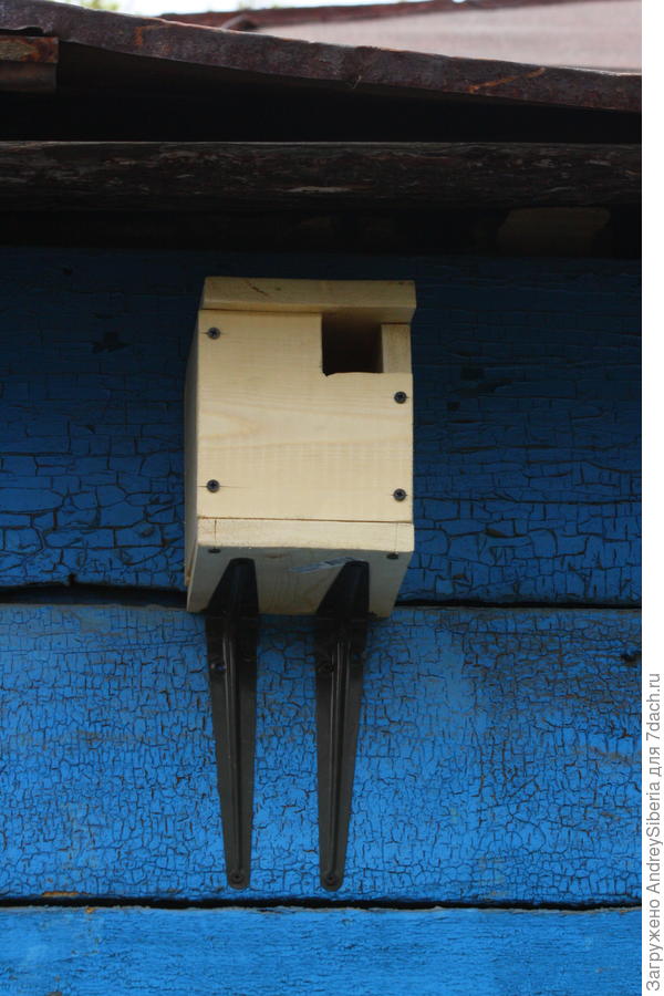 А это "кубик" для обыкновенной горихвостки