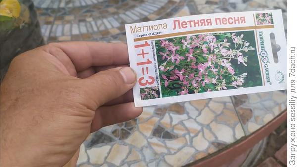 Пакет с цветоам