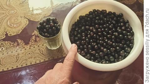 Пребранная зрелая смородина
