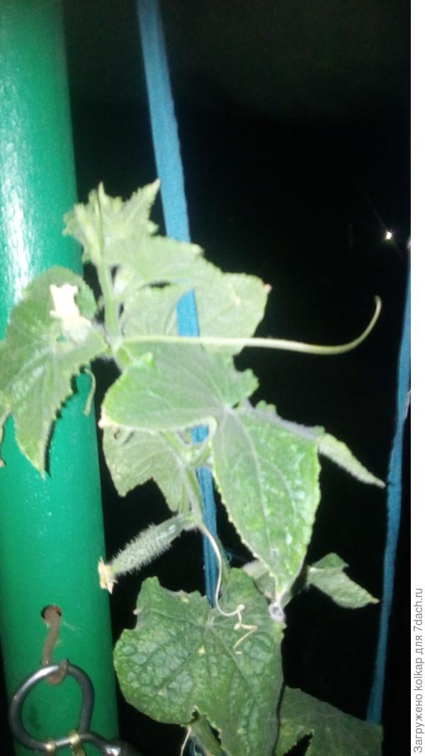 4 октября 2020г