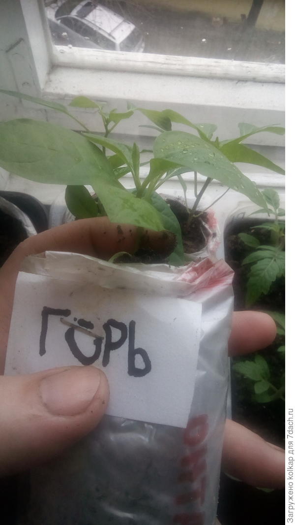 Незнакомец