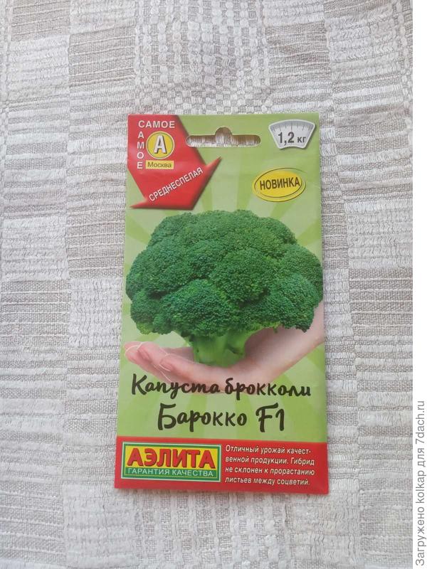 капуста-красавица "Барокко"