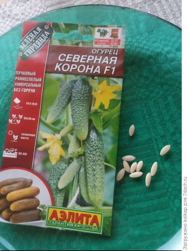 "Северная корона"