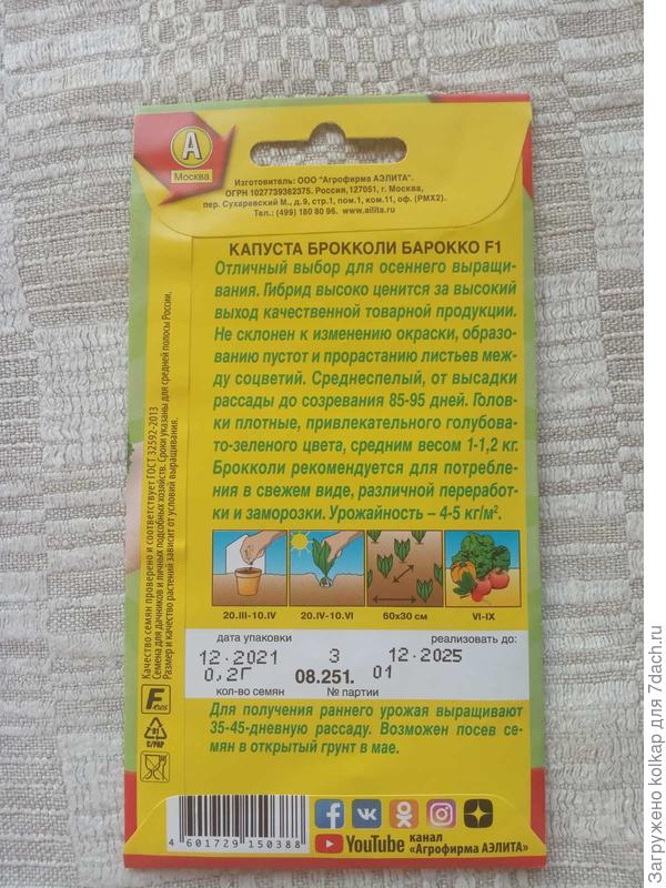 что ждать от капусты-брокколи