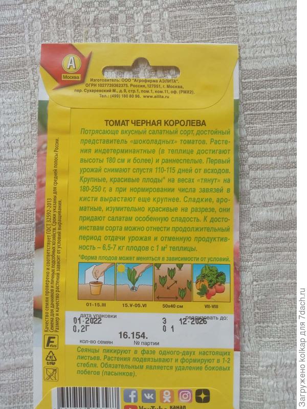 чего ждать от красавца-томата