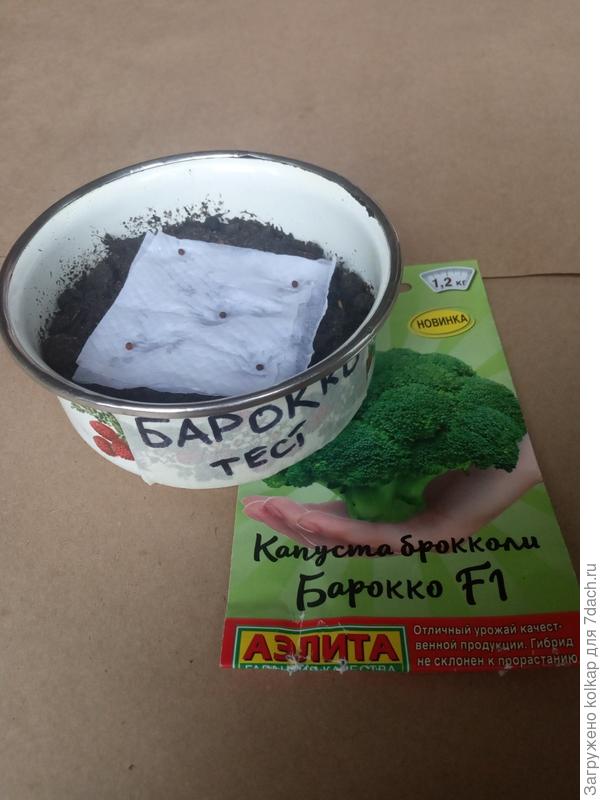 посев в маркированную емкость