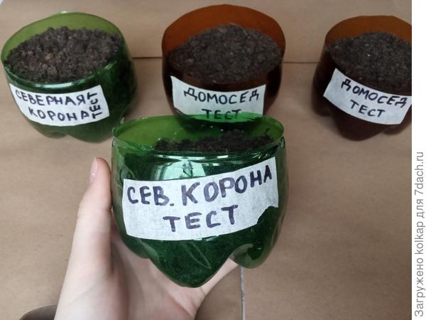 так я маркирую стаканчики