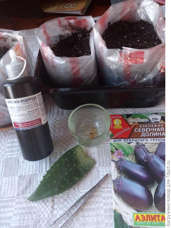 обработка семян