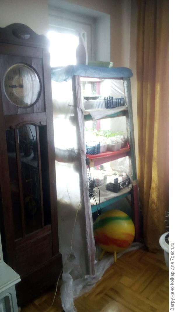 мой очень страшный стеллаж, такое обычно никому не показывают. Но со своими задачами он справился на 5+