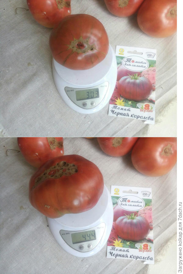 шоколадные томатики на весах