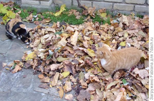 Очень интересно.....