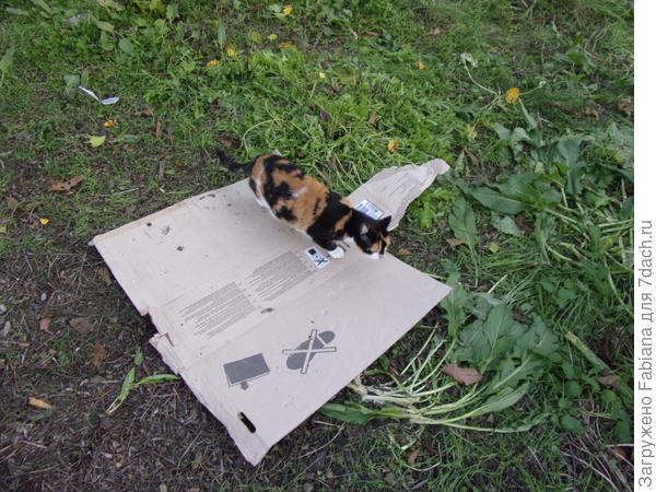 Проверка материала