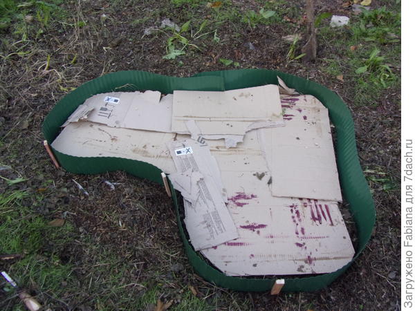 Кладём картон и вбиваем колышки, чтобы клумба не разваливалась