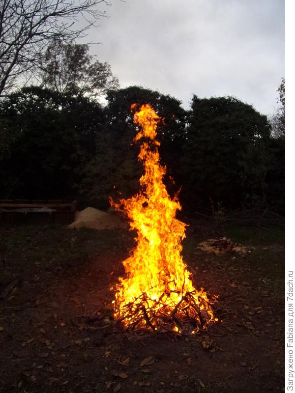 Стихия огня