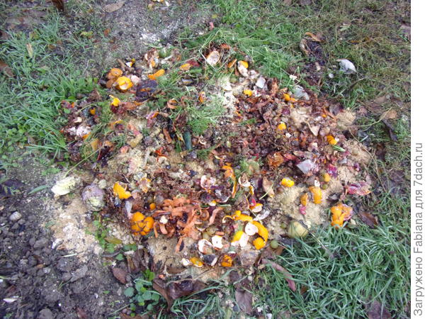 Следующая ступень — яма в огороде