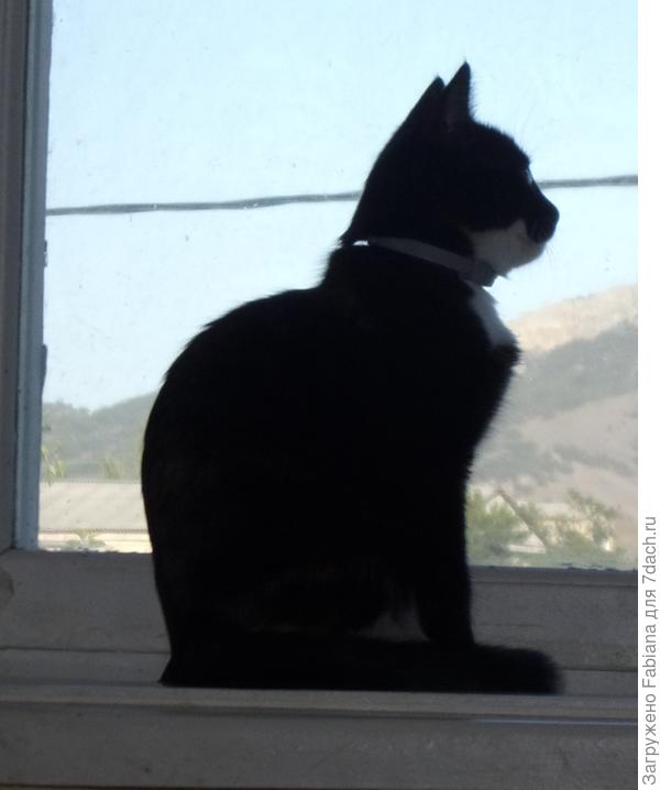 Ура, теперь у нас из окна красивый вид!
