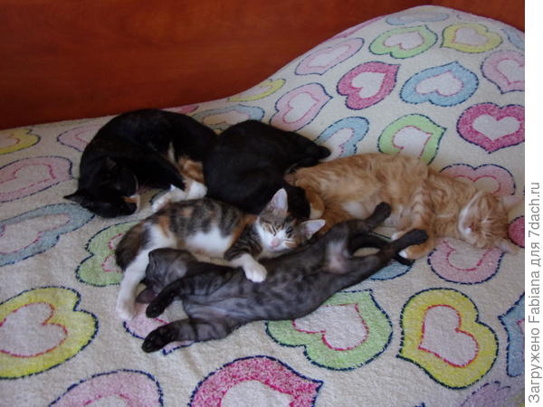 У них отдых )