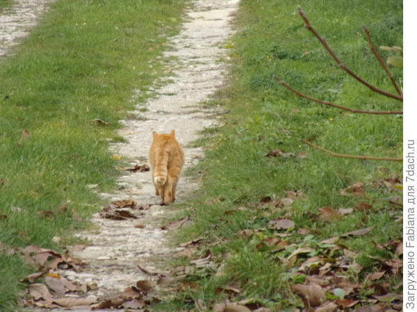 Почуяв неладное, он всё же решил смыться
