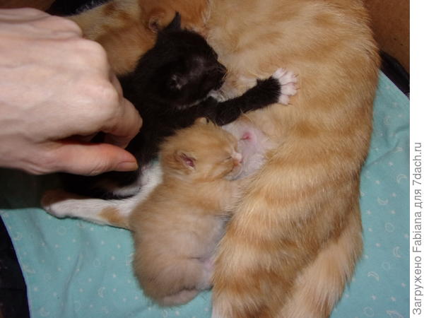 Мы кушаем :)