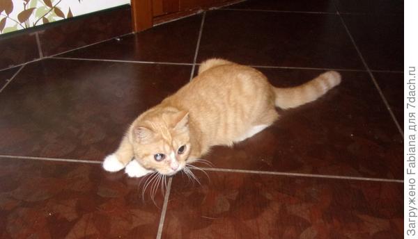 Сейчас прыгнет :)