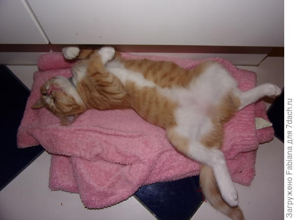 Очень приятно :)