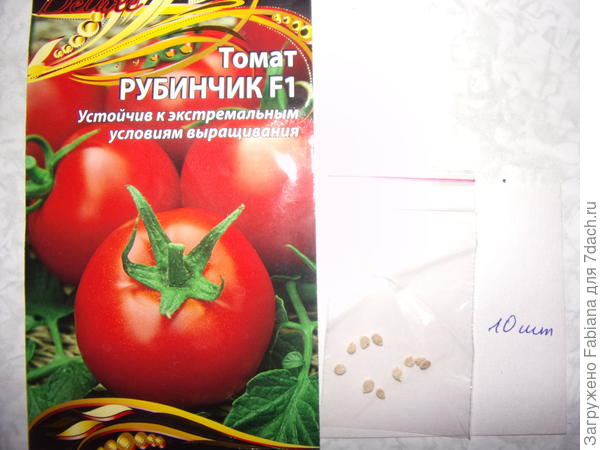 Рубинчик