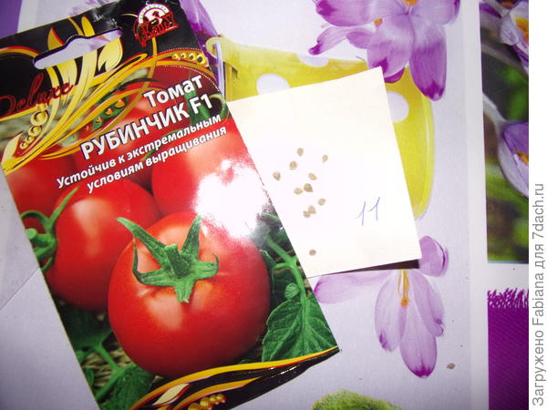 Семена Рубинчика. Для тестирования беру все 11. Фото семян томата Для внучат можно найти здесь. Беру 4 оставшиеся от первого посева штучки.