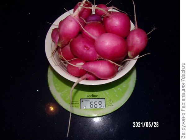 Вес