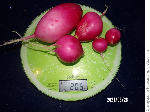 Вес