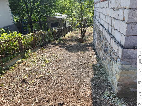 Соседи появляются )