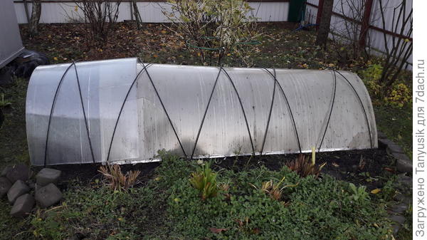 Дуги из стеклопластиковой арматуры. Легко гнутся. Глубоко входят в землю.