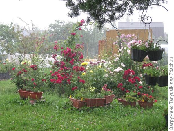 Фото 2014 года.