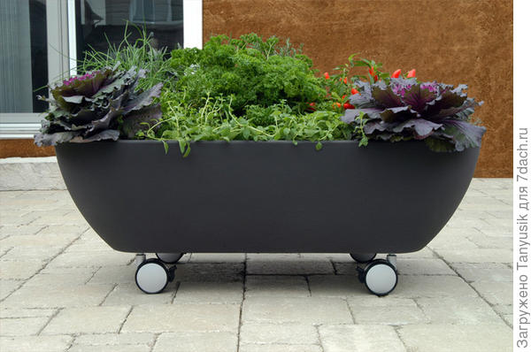 Классно было бы весь огородик для пожилых людей посадить в таких контейнерах на колесиках.