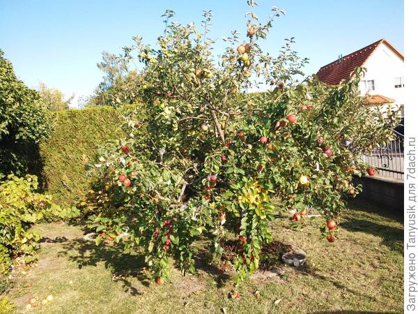 Фото Лилии Урбан