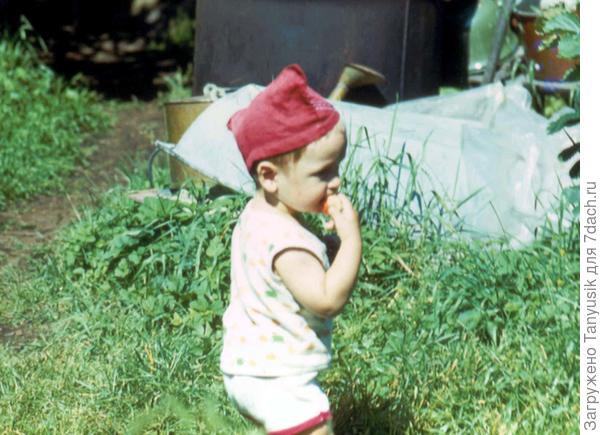 Ваганово. 1986 г