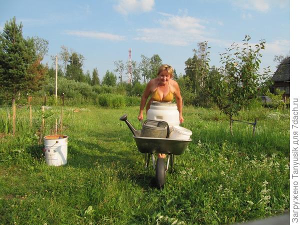 "Удивительный вопрос: почему я водовоз?"